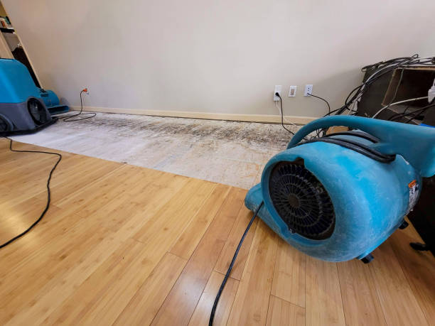 Professional Water Damage Repair technician working in Slovan, PA